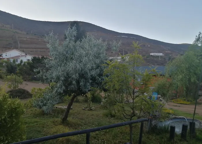 La Serena Casa Cabana De Campo Entre Cactus Y Colibries