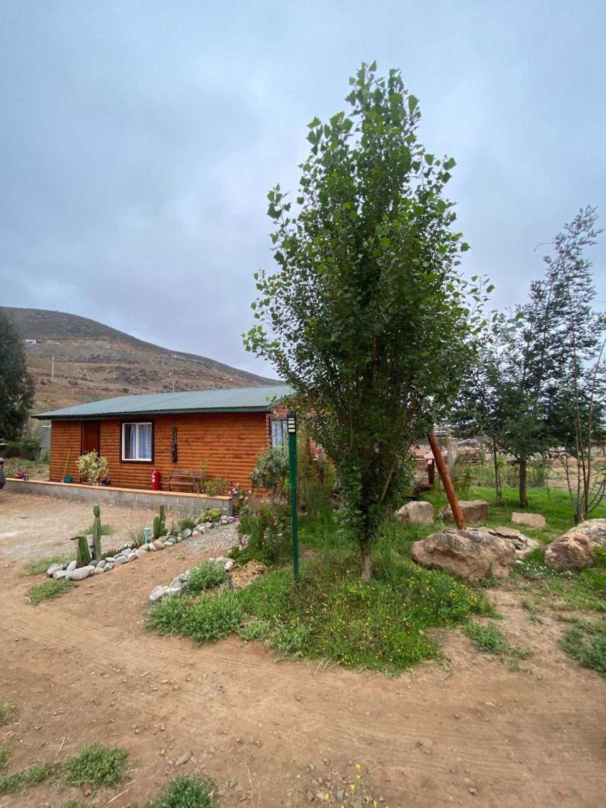 Casa De Campo Entre Cactus Y Colibries Сasa de vacaciones La Serena