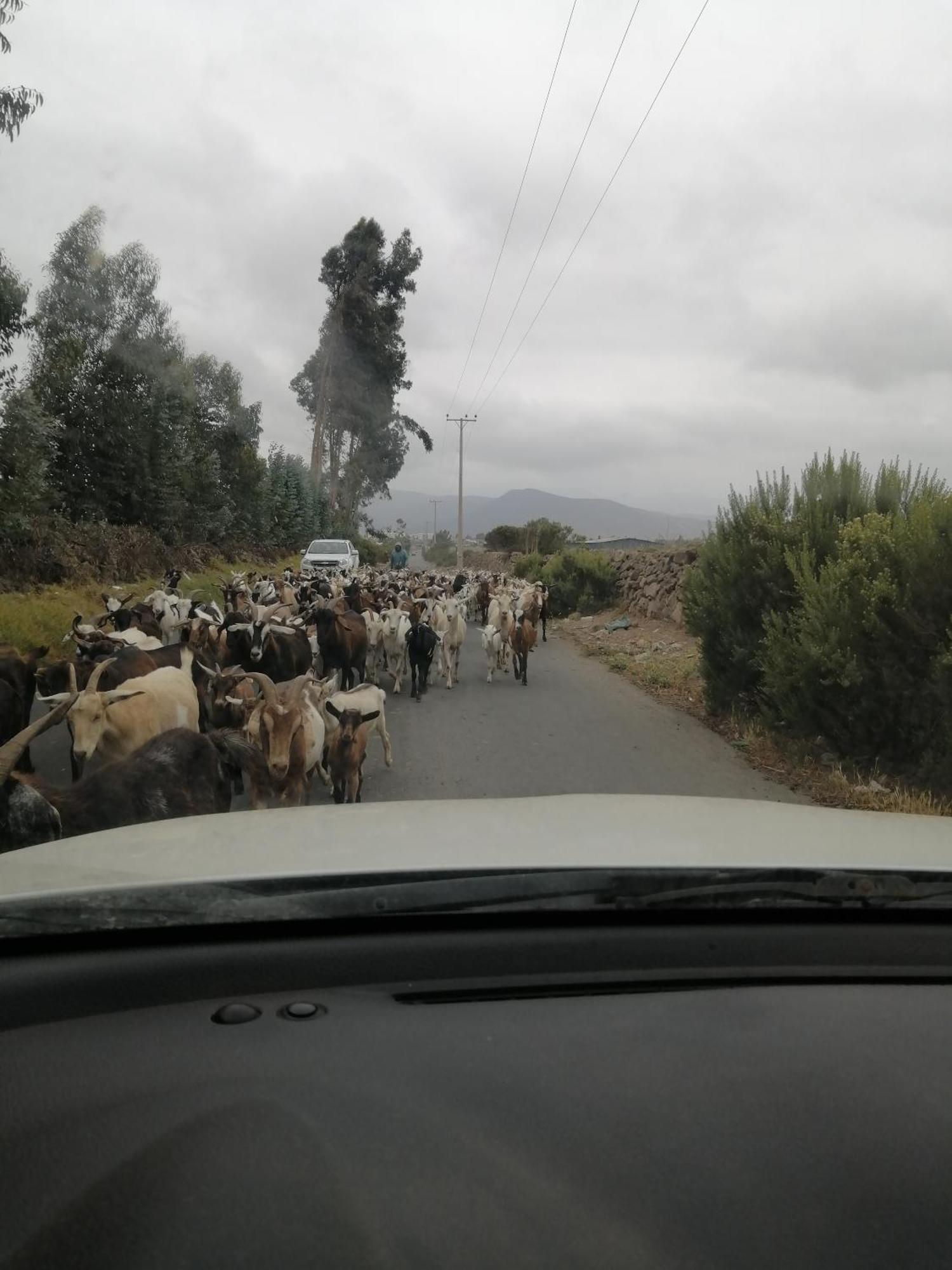 Сasa de vacaciones Casa De Campo Entre Cactus Y Colibries *