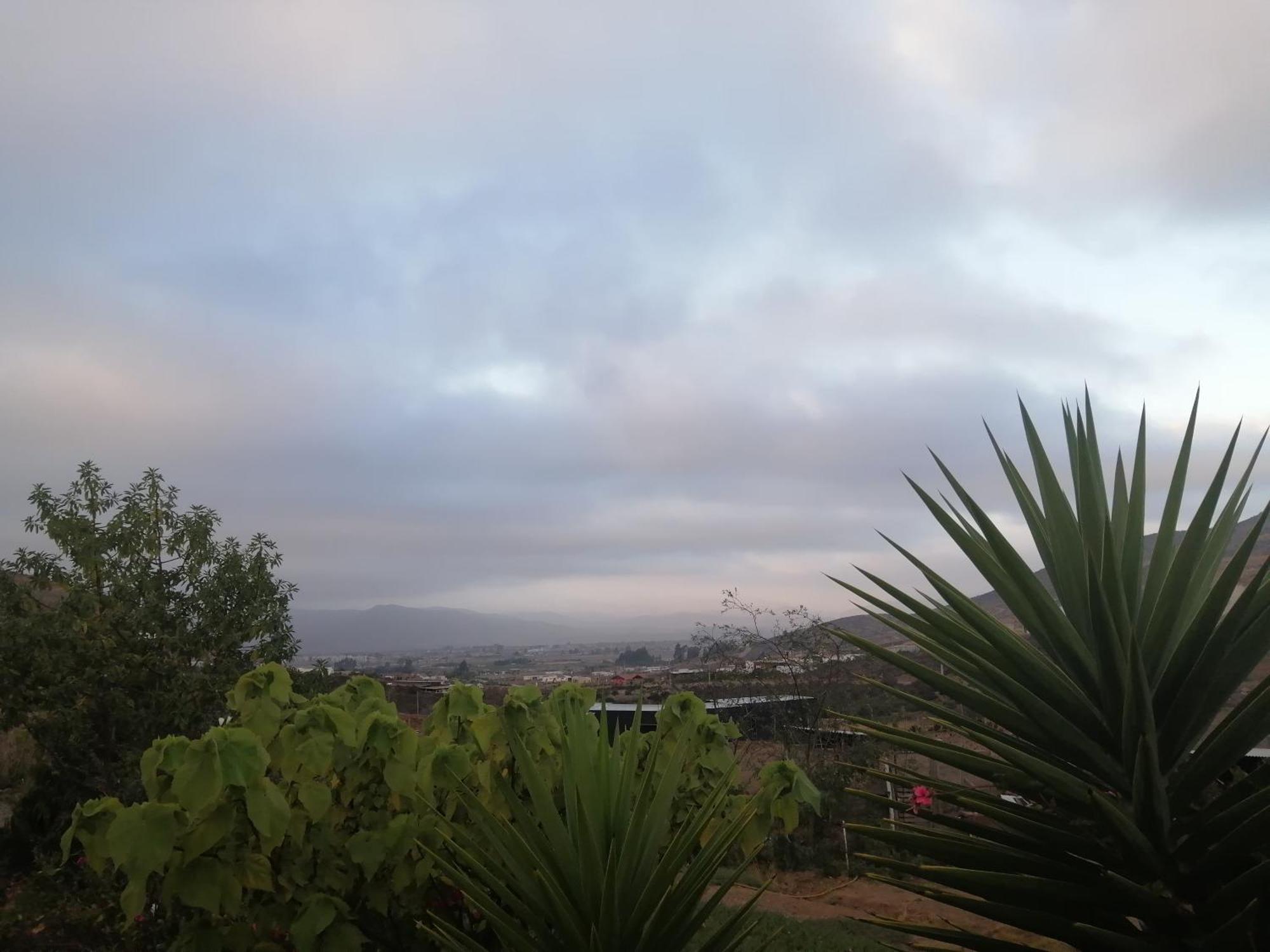 Casa De Campo Entre Cactus Y Colibries Сasa de vacaciones *