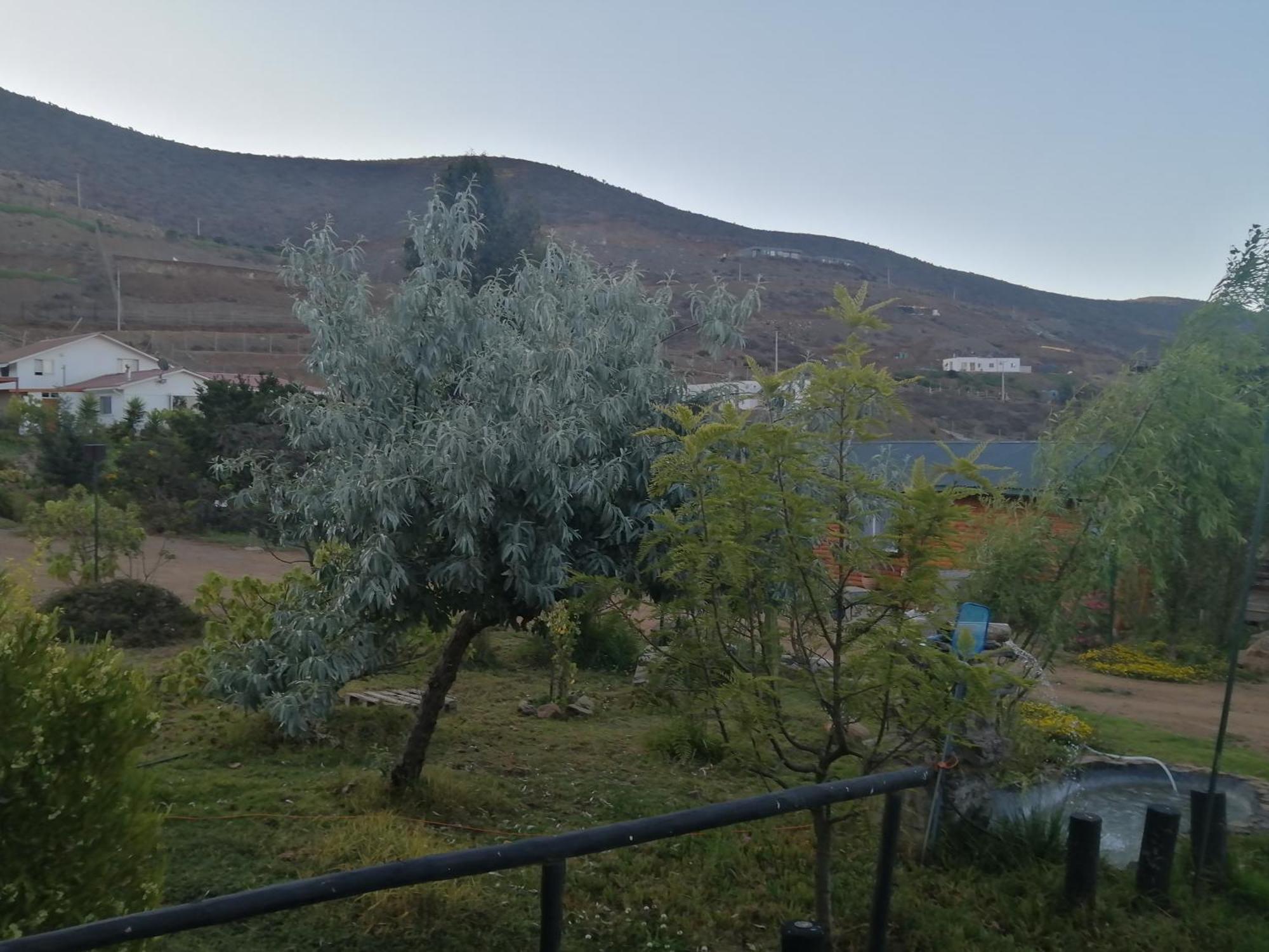 Casa De Campo Entre Cactus Y Colibries La Serena