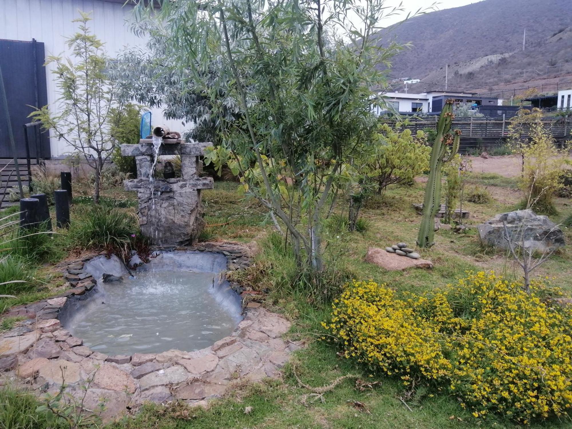 Casa De Campo Entre Cactus Y Colibries *