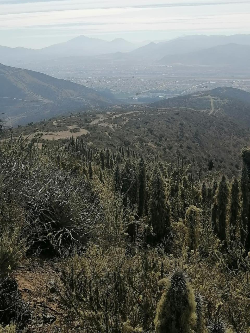 Casa De Campo Entre Cactus Y Colibries *