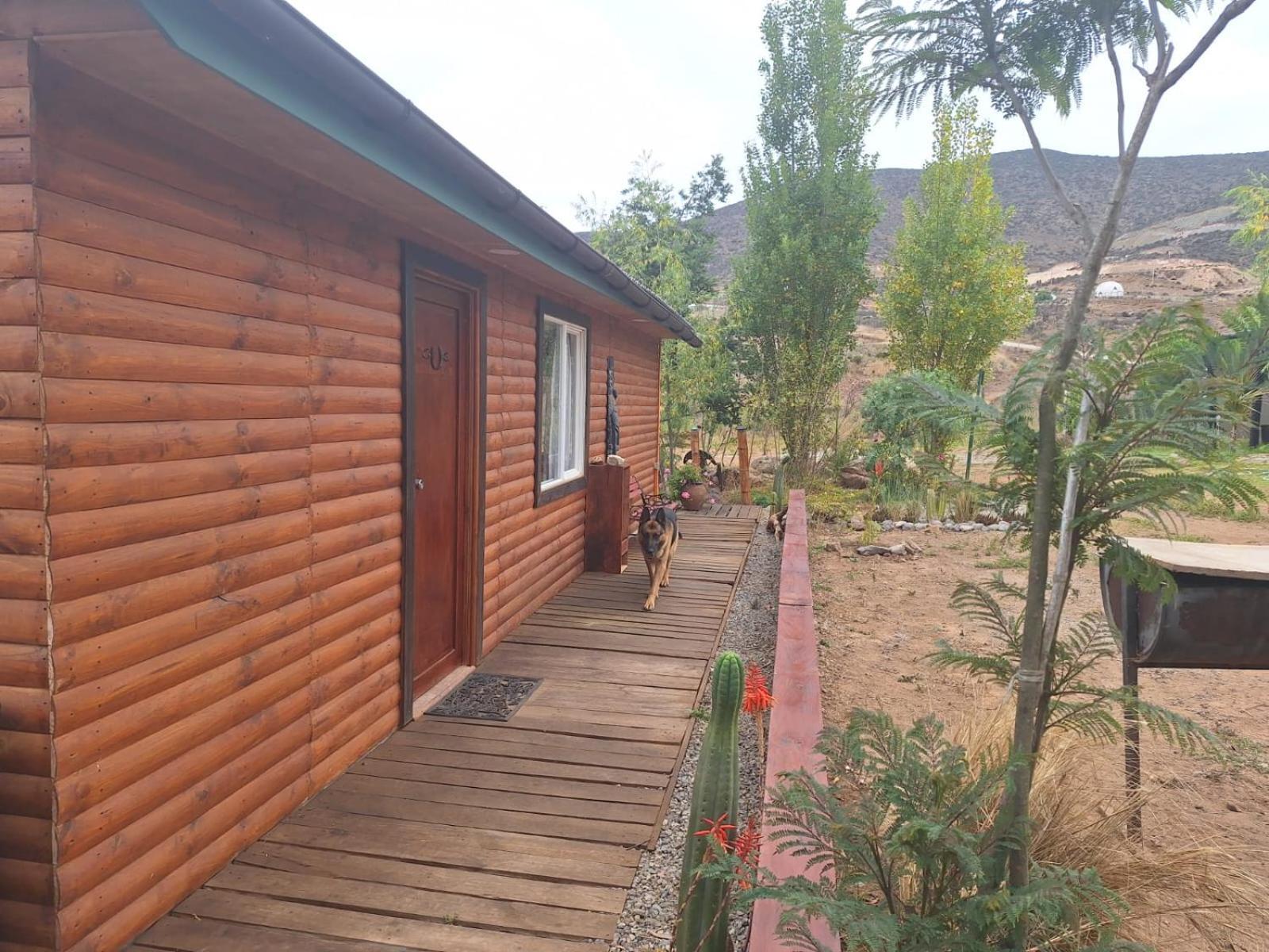 Casa De Campo Entre Cactus Y Colibries *